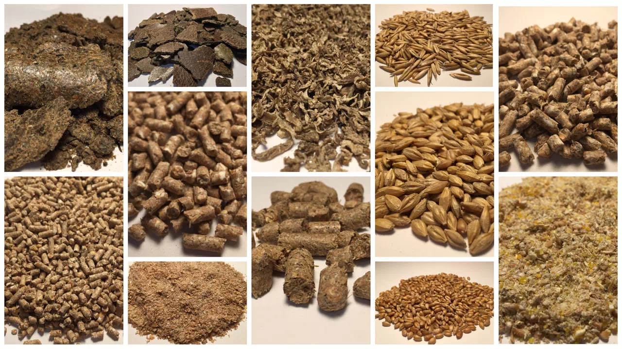 Производство комбикормов