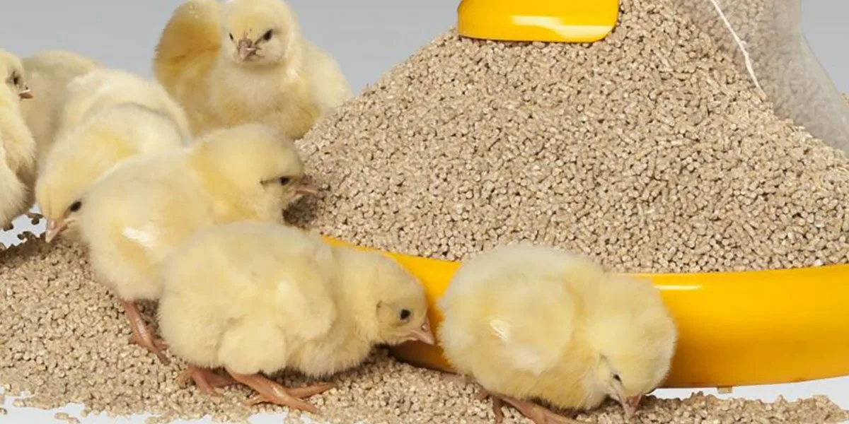 Комбикорм для цыплят бройлеров